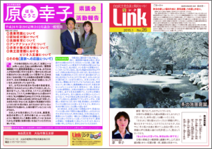 Link2015.1 No.26