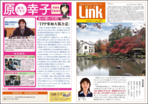 Link2015.11 No.27
