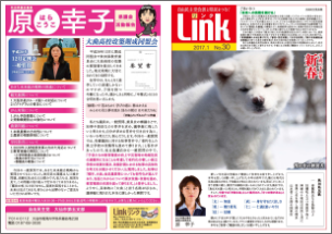 Link2017.1 No.30