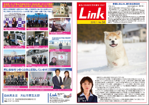 Link2019.1 No.34